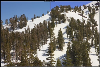 Before and After applying the "Camera Landscape" profile for the Canon 1Ds Mark III