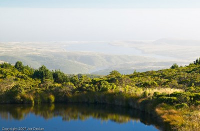 Pond and Drake's Estero, Point Reyes. Echoes don't have to be overt to be effective.