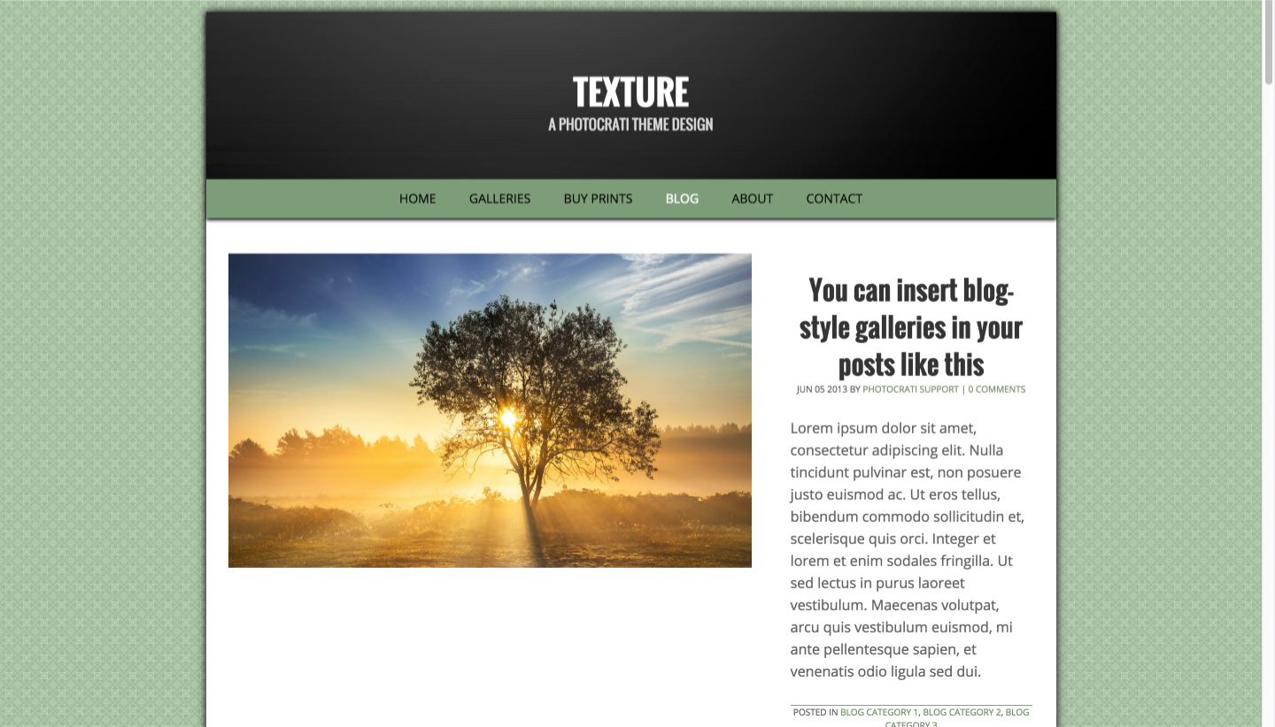 Featured Image Left Blog Template