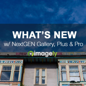 Meet the Pro Sidescroll Gallery in NextGEN Pro