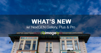 NextGEN Pro’s New Cart Menu Icon & Direct To Pro Lightbox Features