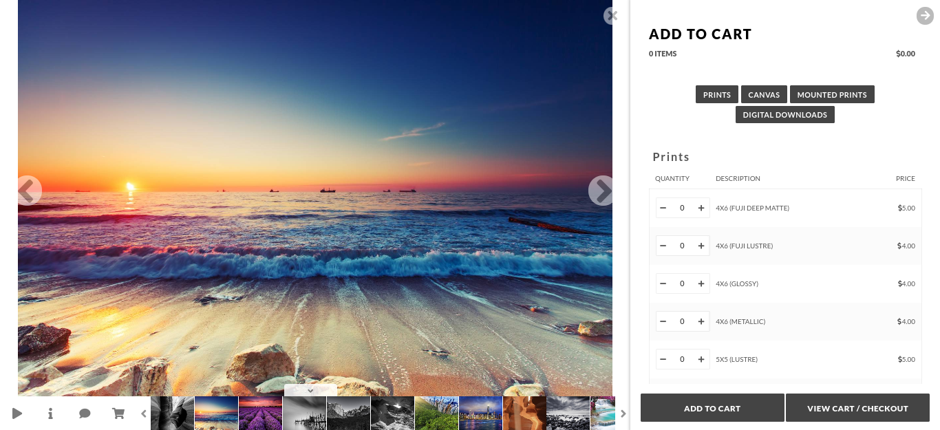 For this, we recommend NextGEN Pro. It's one of the most popular WordPress plugins for photographers and comes with multiple galleries as well as e-commerce extensions. Fortunately for Photocrati customers, NextGEN Pro is included!